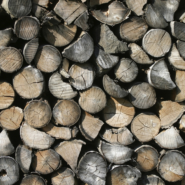 Dry seasoned Firewood